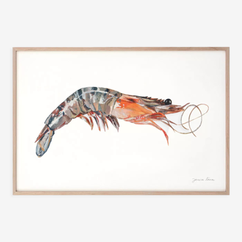 "Léa", the shrimp, art print 21/29.7 cm