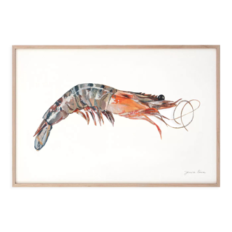 "Léa", the shrimp, art print 21/29.7 cm