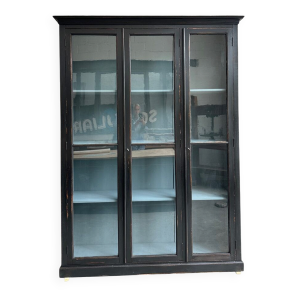 Vitrine de musée fin XIXème