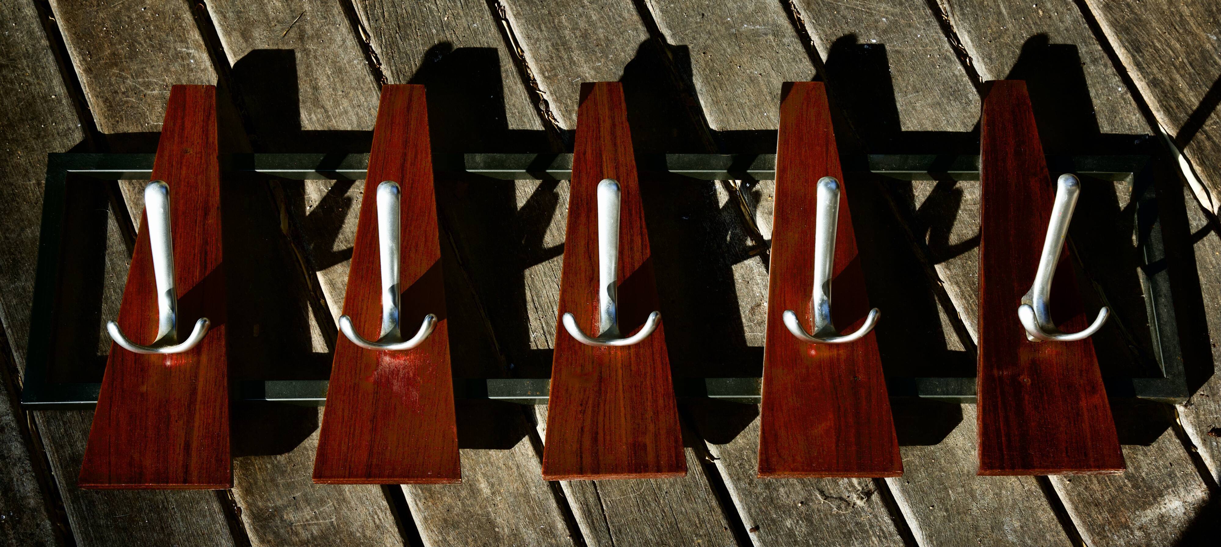Coat rack with 5 hangers