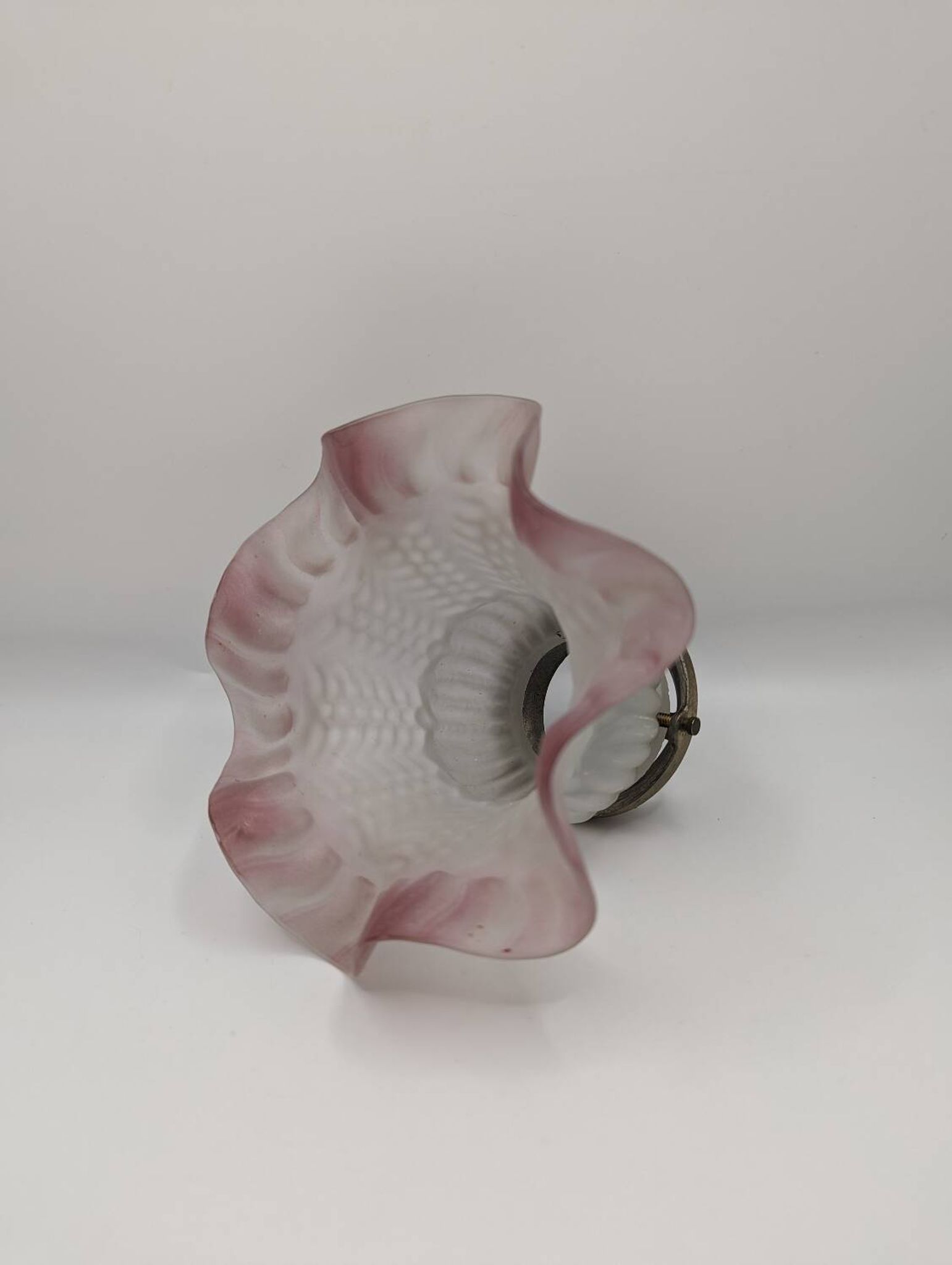 Pair of frosted glass tulips with pink edges, claws included