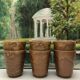 Set of 6 Gres glasses