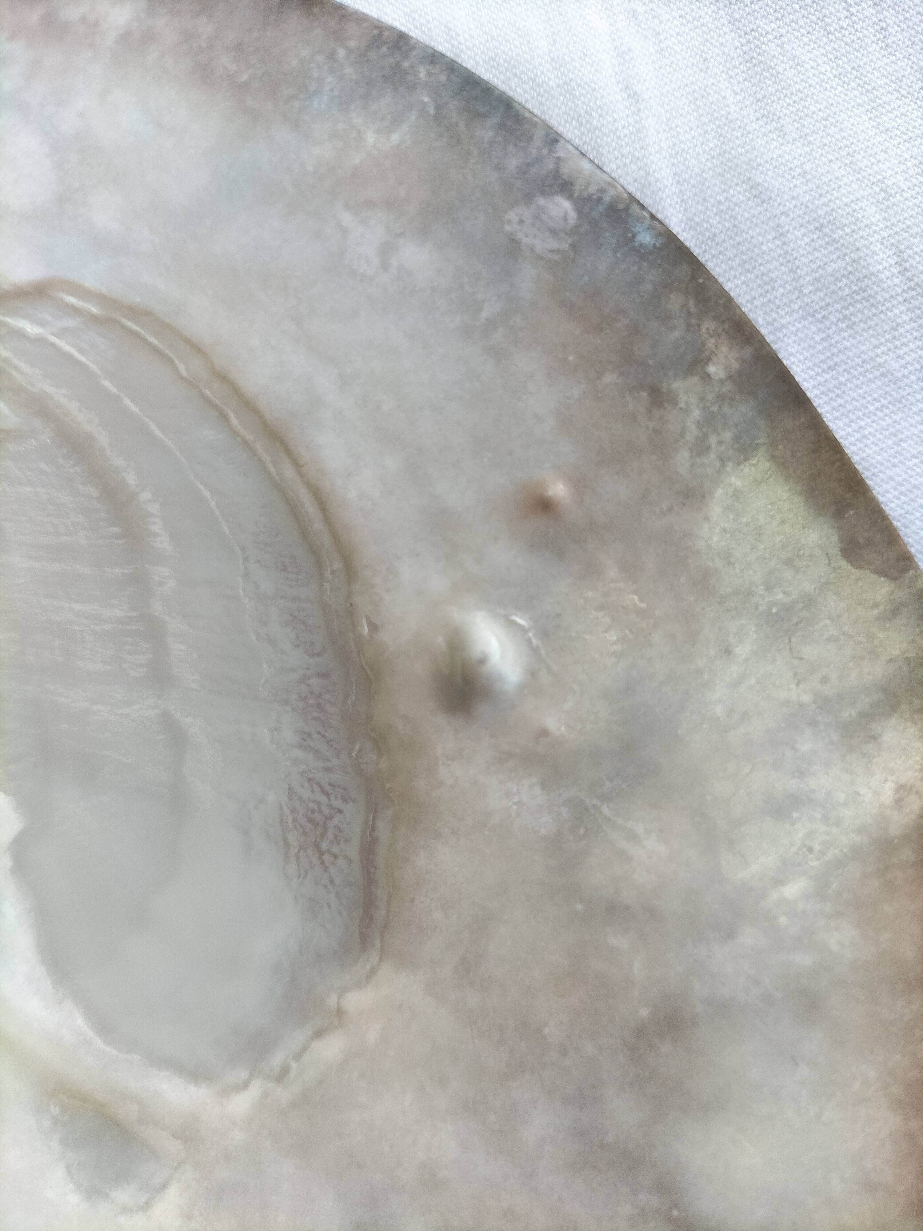 Shell-shaped pocket tray from the pearl oyster of the islands.