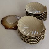 ceramic shell bowl