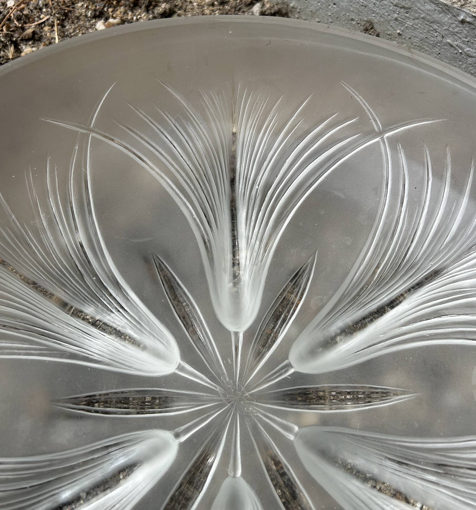 Coupe en verre Verlys