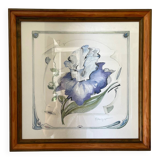 Iris flower on paper with vintage wooden frame
