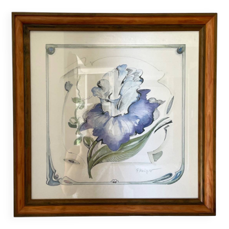Iris flower on paper with vintage wooden frame