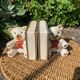 Serres livres oursons