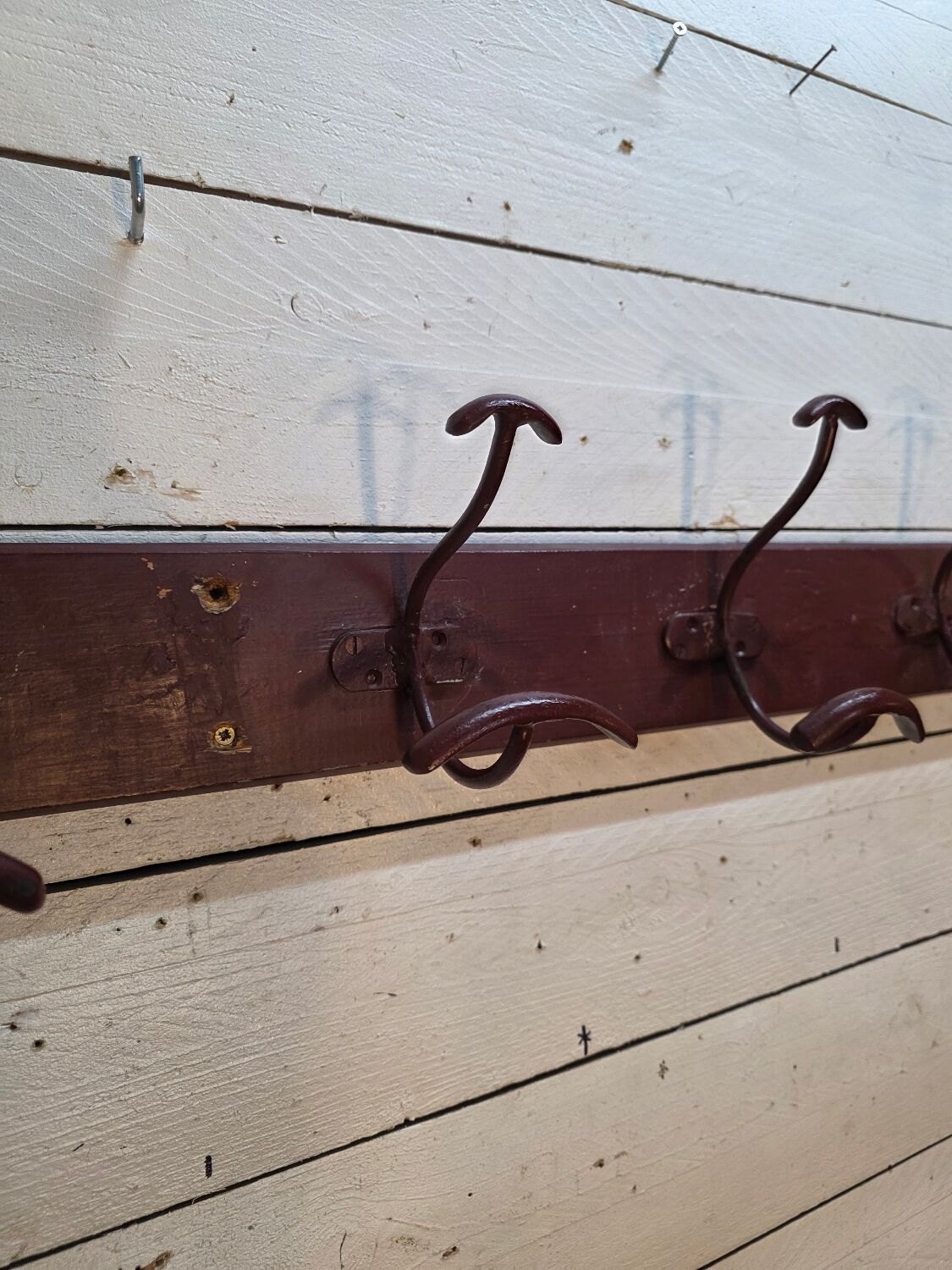 School coat rack with 8 hooks