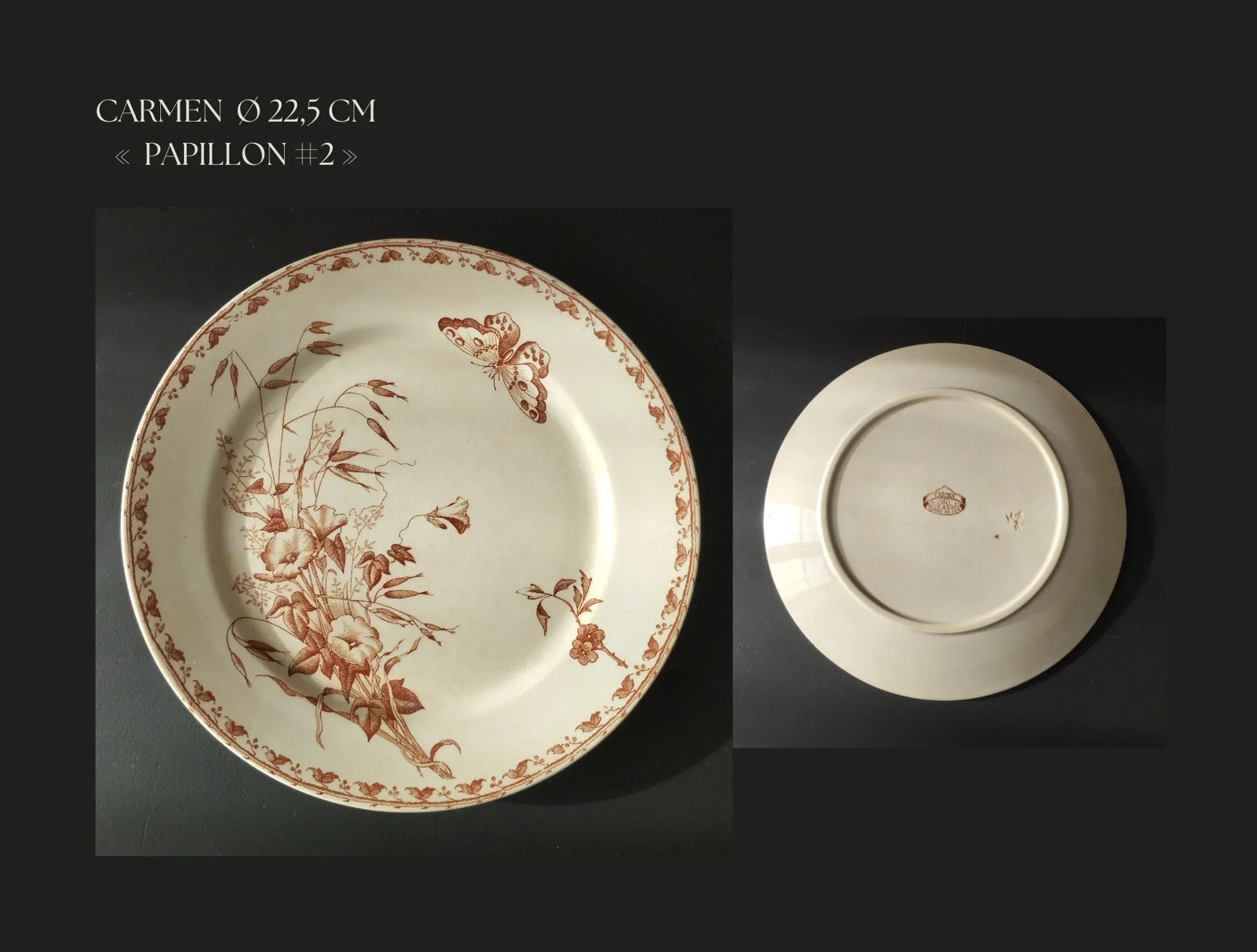 7 flat plates in earthenware from Sarreguemines U&C "Carmen"