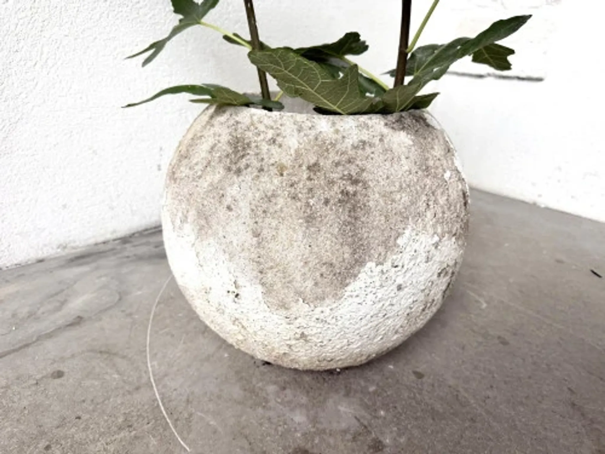 Spherical fibreglass planter, DLG Willy Guhl, 1960s