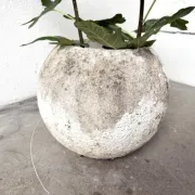 Spherical fibreglass planter, DLG Willy Guhl, 1960s