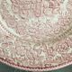 Ensemble de 10 assiettes plates en faïence anglaise, EIT England, décor champêtre