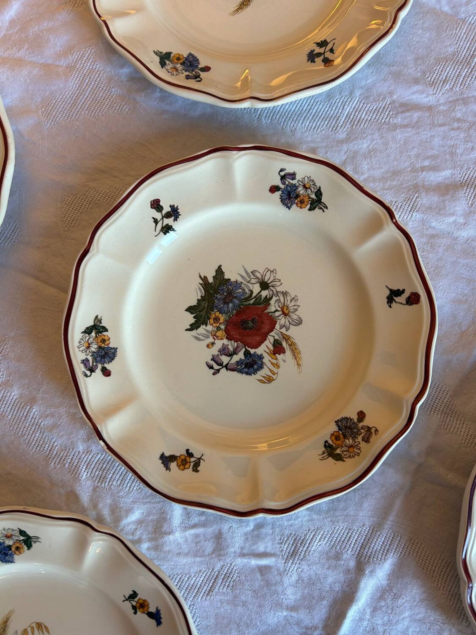 Set of 11 antique plates in Sarreguemines earthenware – Agre decoration