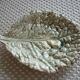 Plat feuille de chou