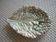 Plat feuille de chou
