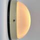 Pair of bakelite Bauhaus ceiling light or flush mounts, 1940s