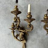 Pair of bronze wall sconces with parrots, early 20th century.