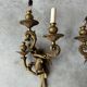 Pair of bronze wall sconces with parrots, early 20th century.