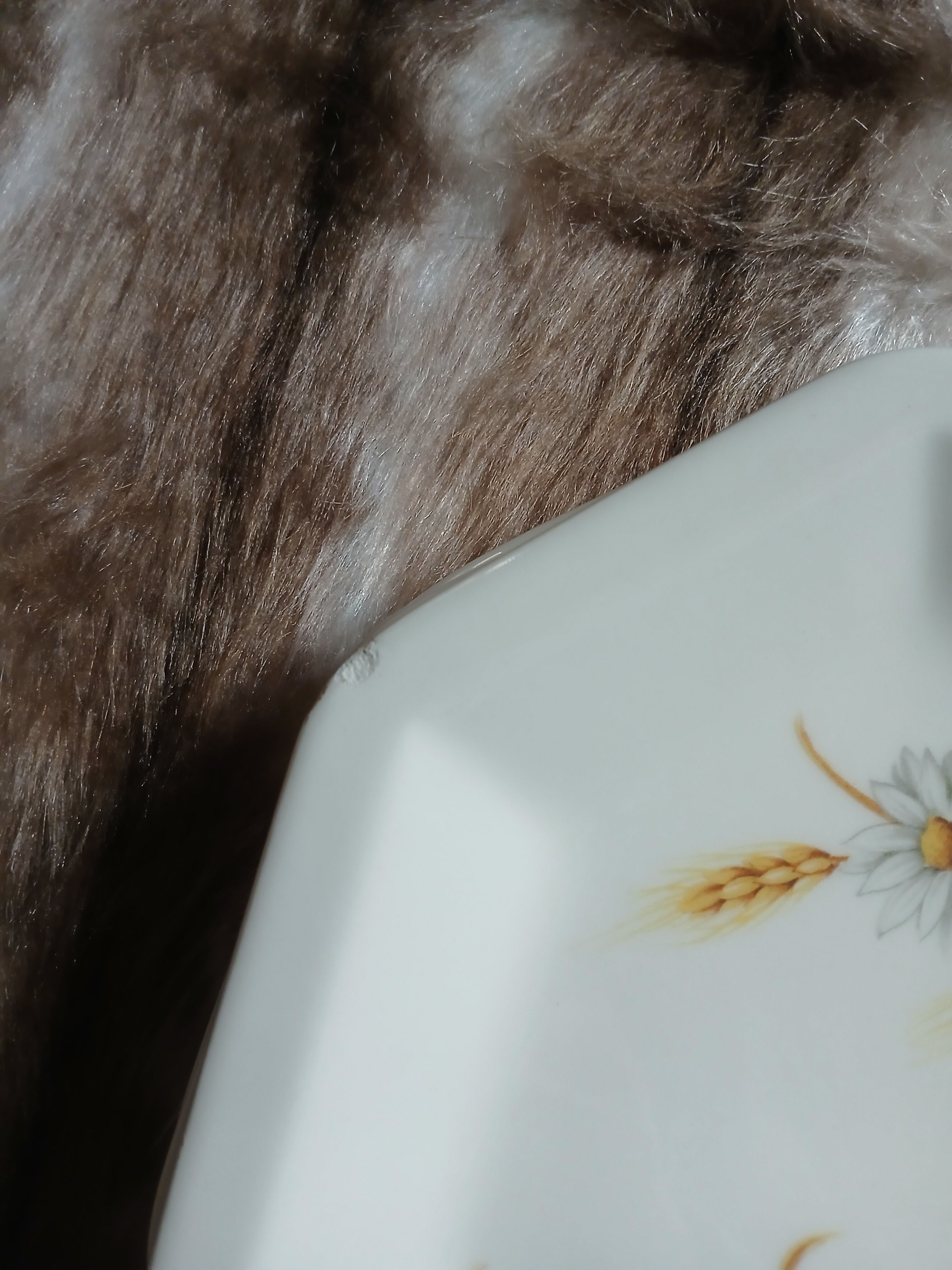 5 vintage dinner plates