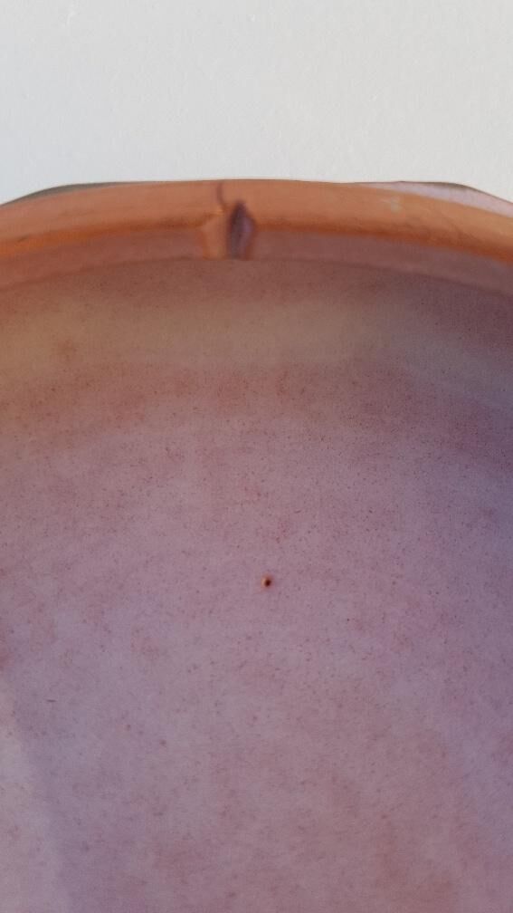 Brothers Cloutier ceramic box