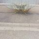 Vintage gold metal coffee table and glass top