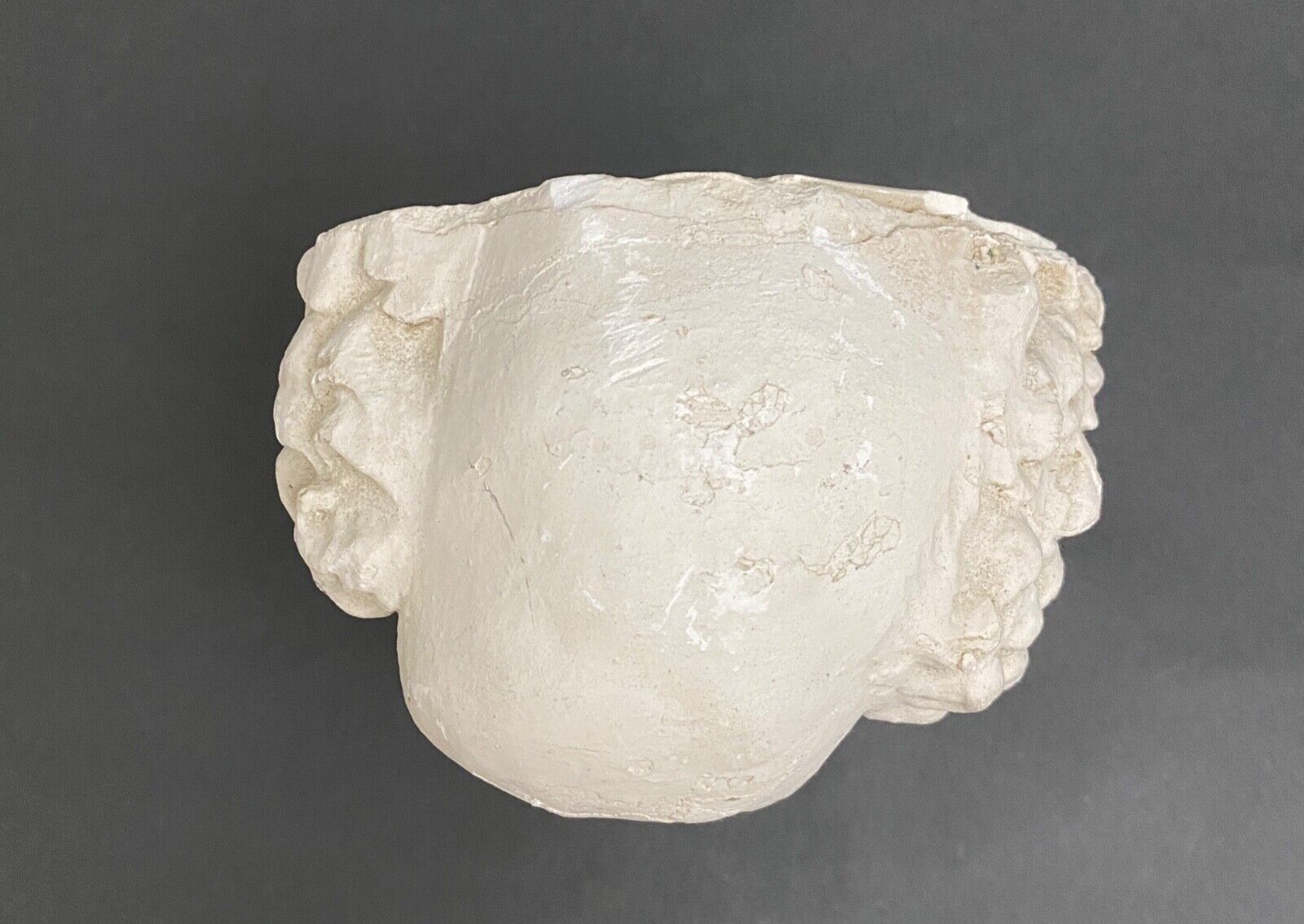 Bust of Socrates in plaster mid-twentieth artist's studio