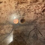 Table basse Aldo Tura