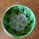 Salad bowl from the manufacture Saint Jorioz Annecy