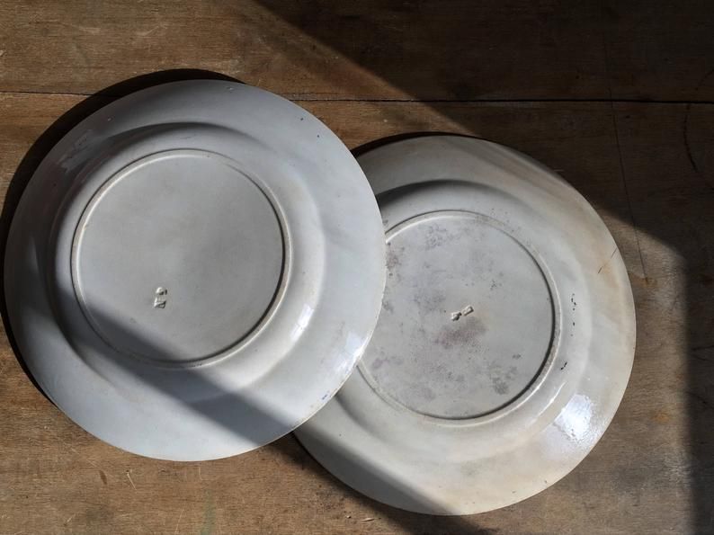 2 flat plates mismatched iron earth with blue flower motifs France