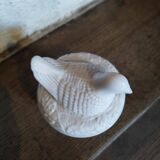 Avon Opaline Bird on Nest Box