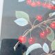 Lithographie encadrée les cerises