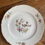 Set of 9 Regency plates