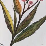 Trio of square Deruta plates signed MARI E.C., botanical decoration 962.21