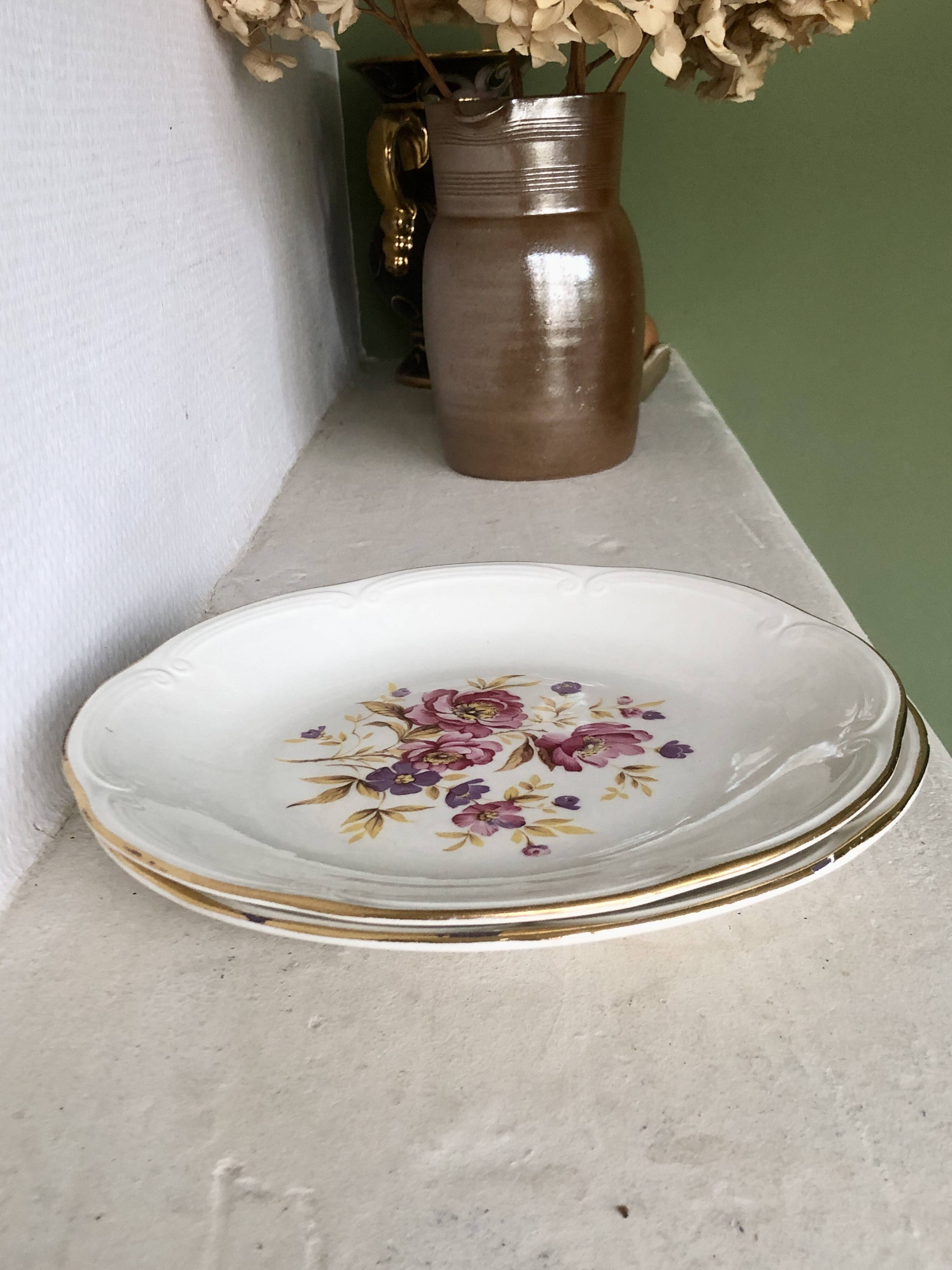 Set of 2 Gien earthenware dinner plates