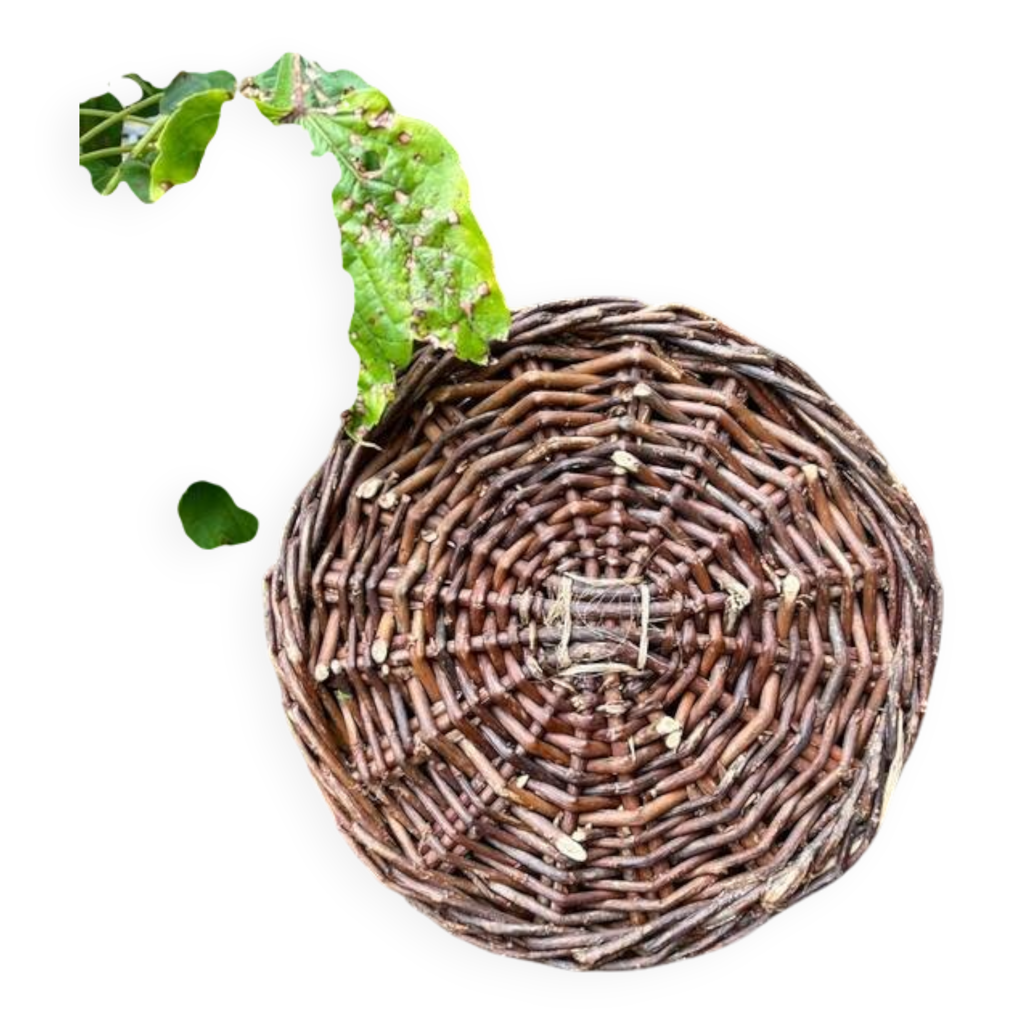 Wicker basket