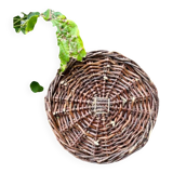 Wicker basket