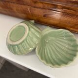 Duo of green scallops