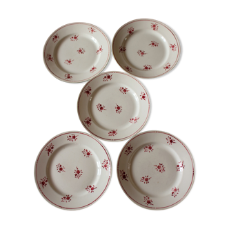 Lot 5 plates Plates Red Flowers Moulin des Loups Richard