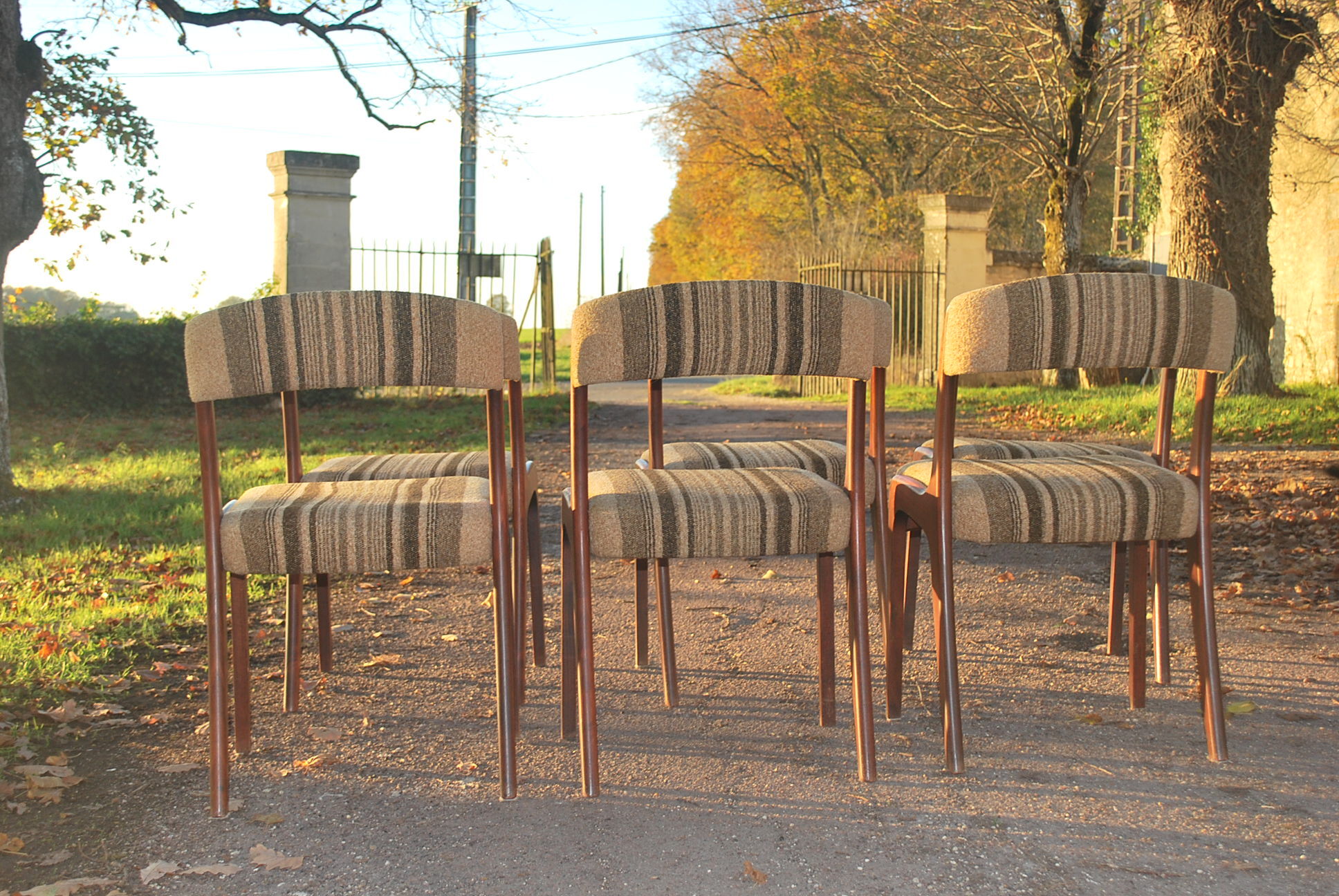 Lots of scandinavian chairs vintage gondola