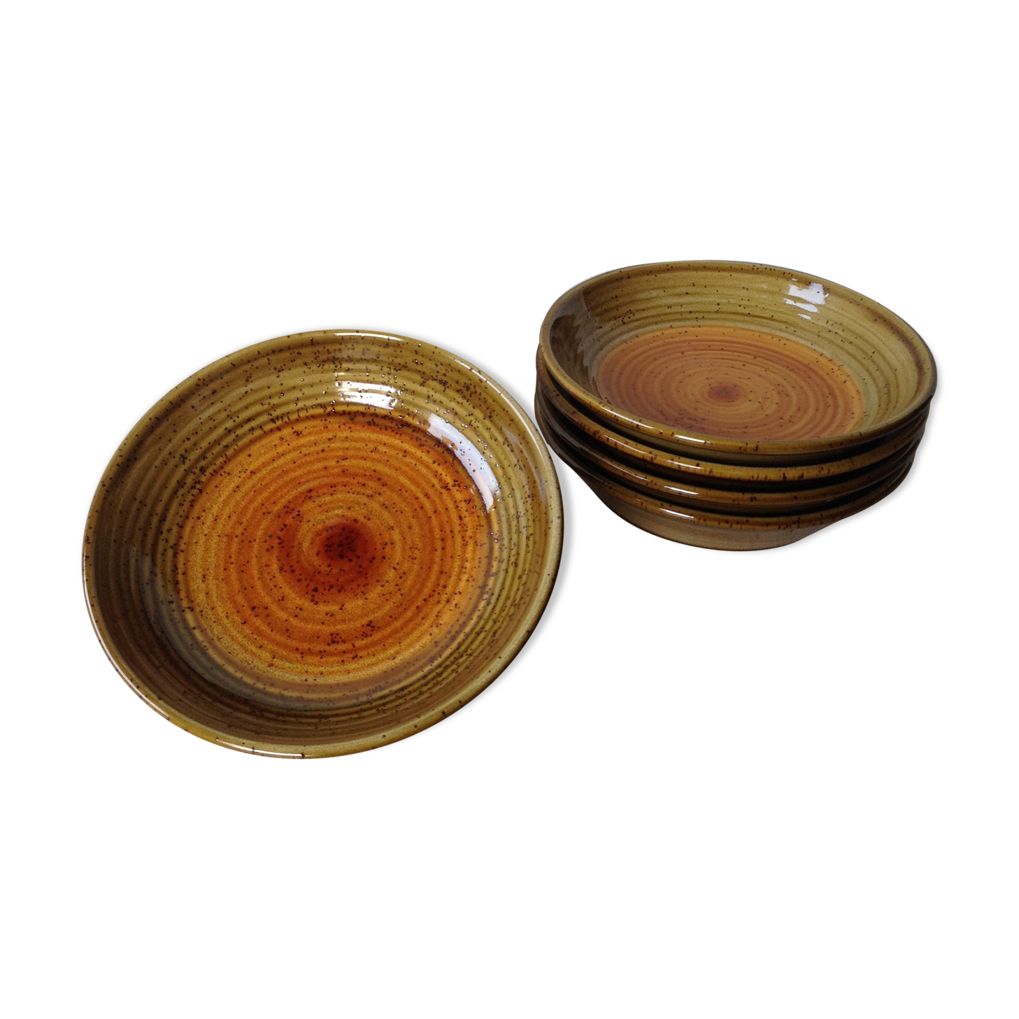 5 soup plates in sandstone pyrite - Saint Amand