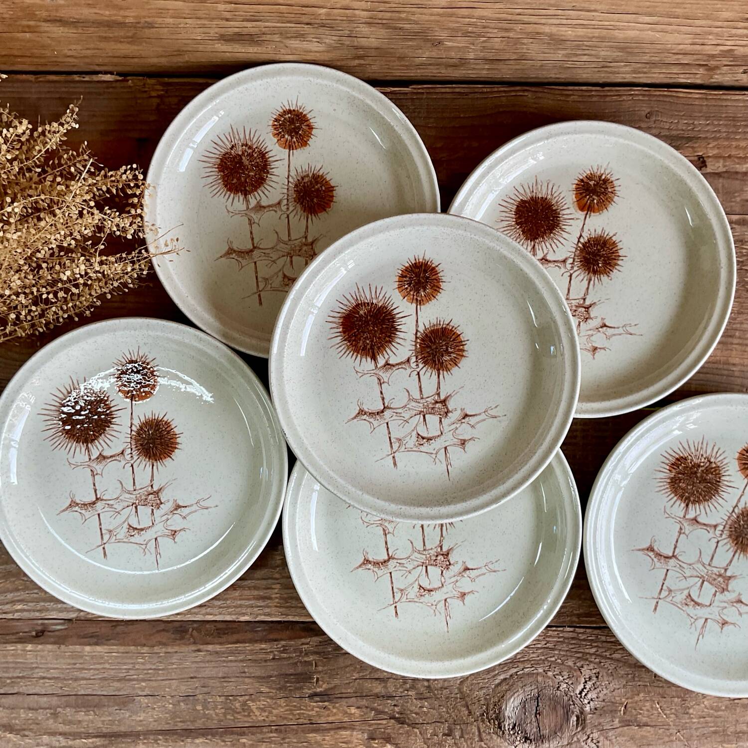 6 Sarreguemines “thistle” stoneware plates