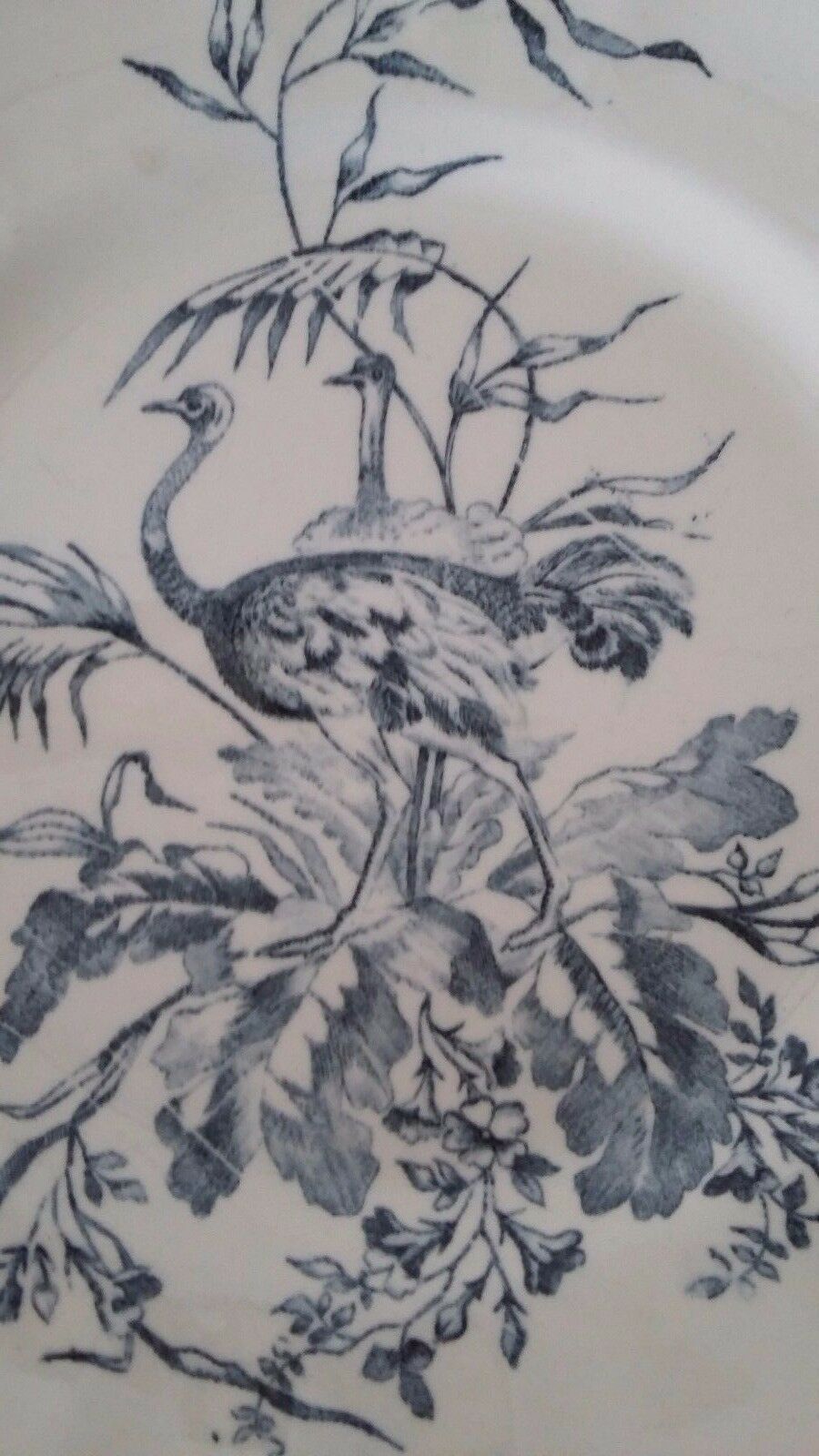 Plate Longchamp Earth model railway scenery ostriches Congo