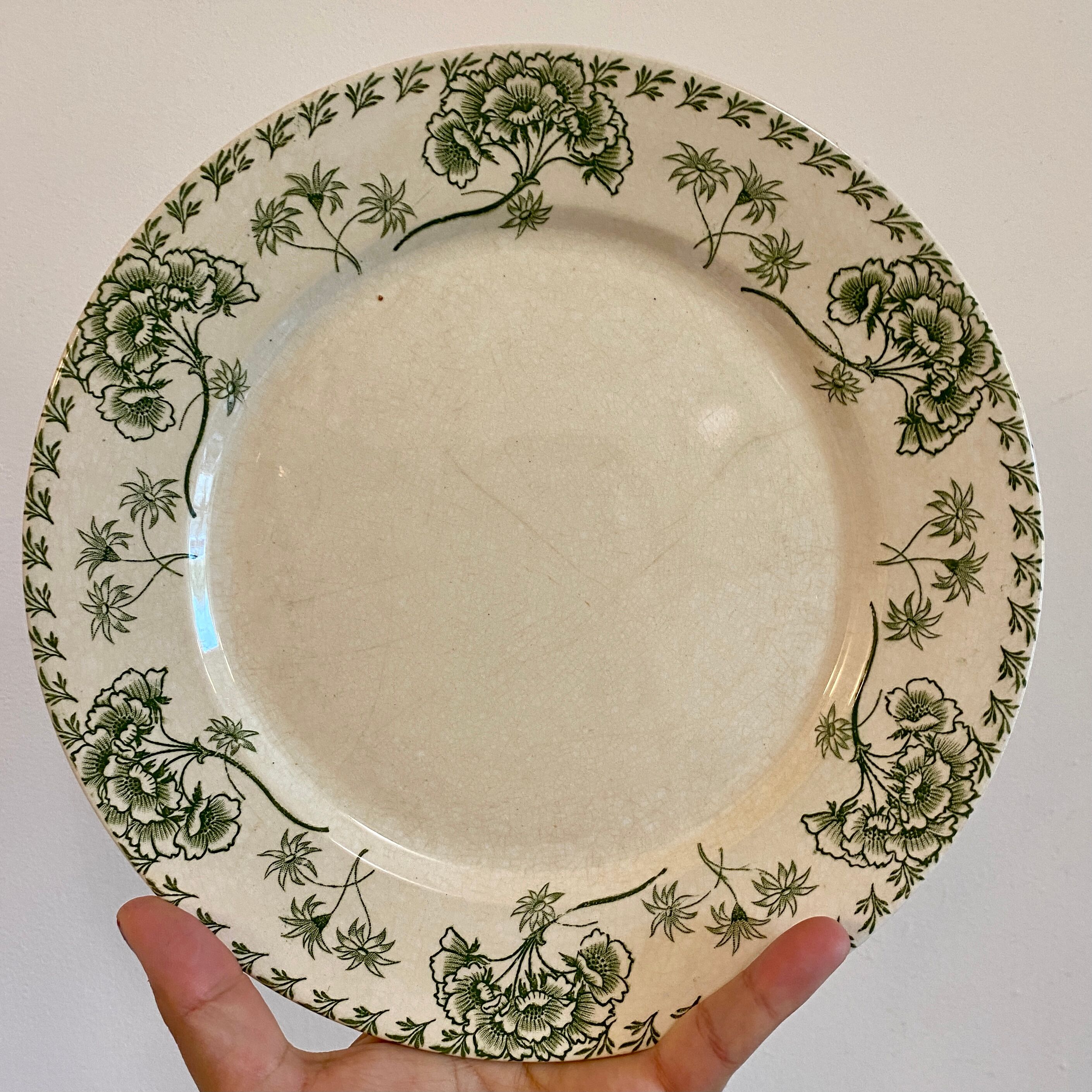 Set of 8 vintage plates in palmyre de sarreguemines iron earth (lot 3)