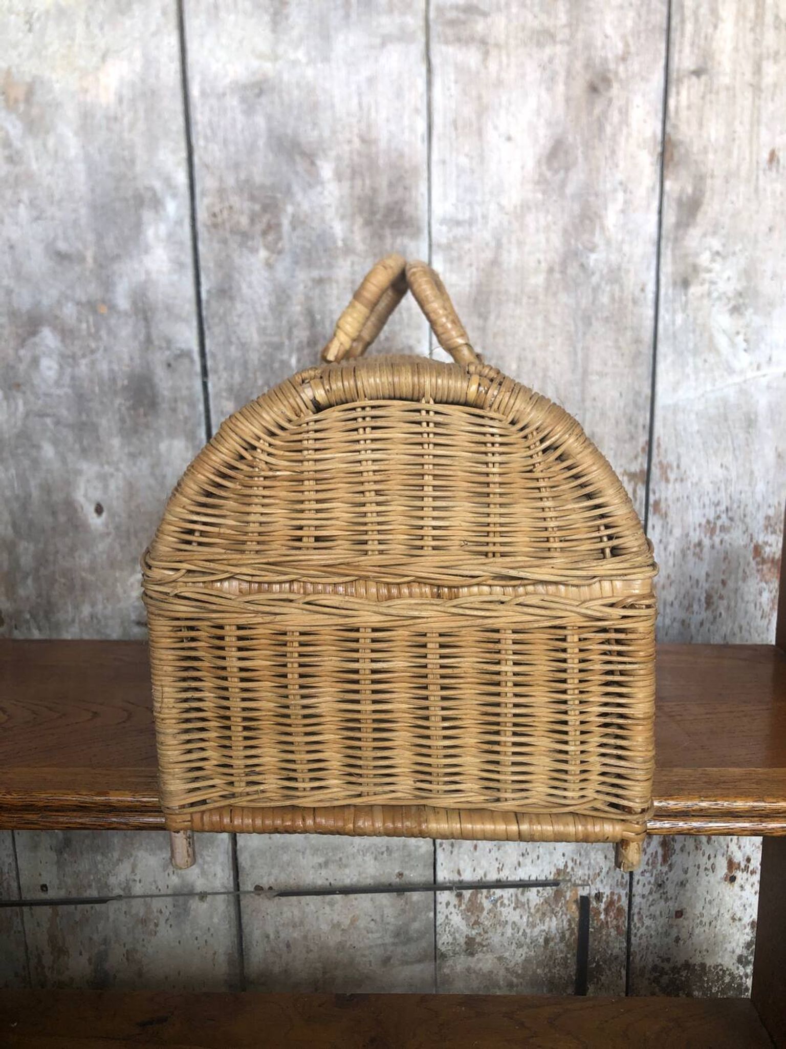 Old basket transport trunk rattan cage puppies kittens animals vintage