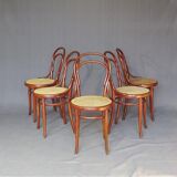 Set of 5 Thonet chairs N°14 1/2 circa 1910 perfect cannages