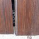 Ancient persians in pine
