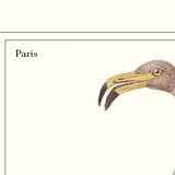 Lithograph engraving chimera animal, the flamoulpe 22x28 cm