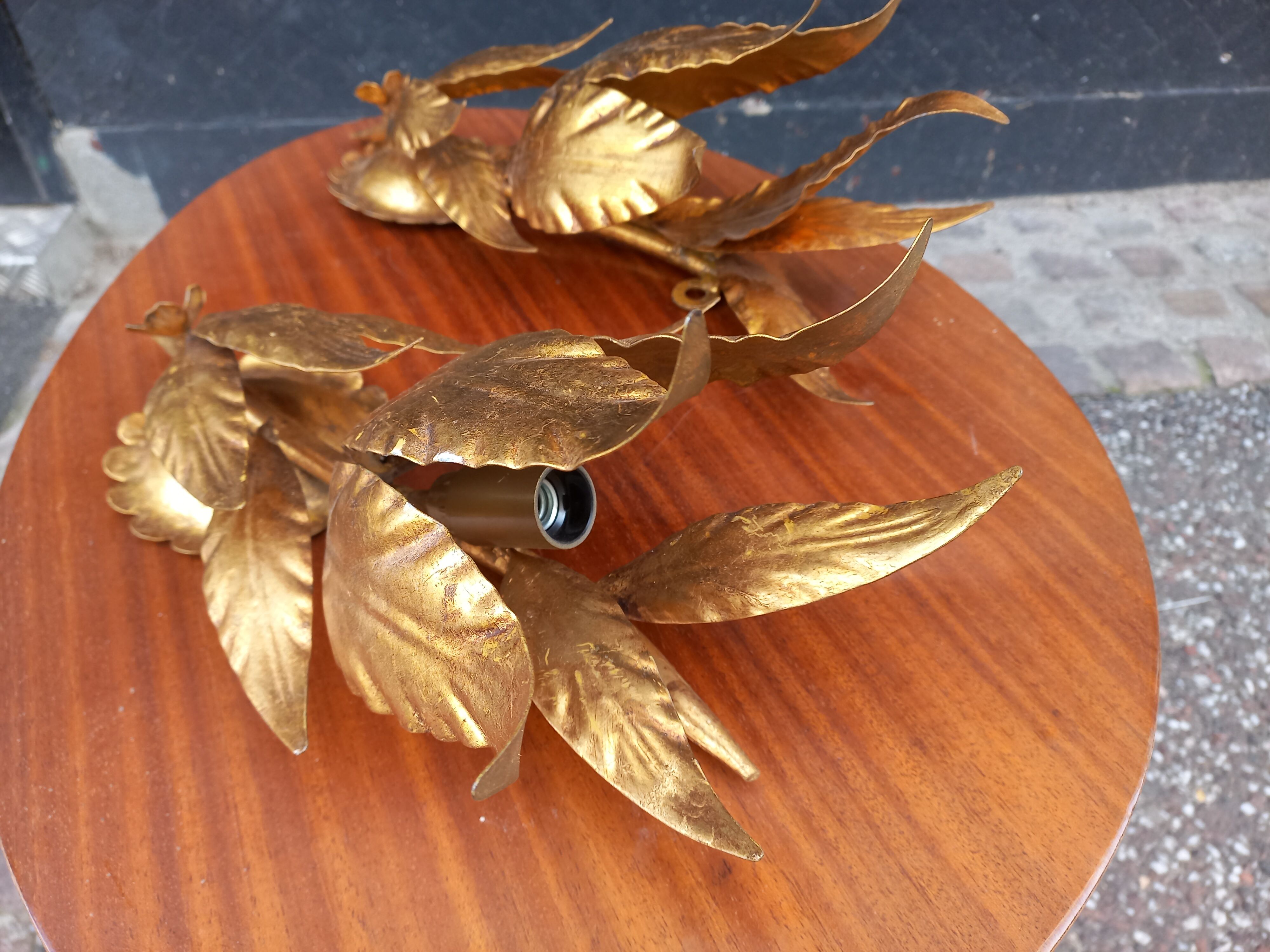 Pair of gold leaf sconces