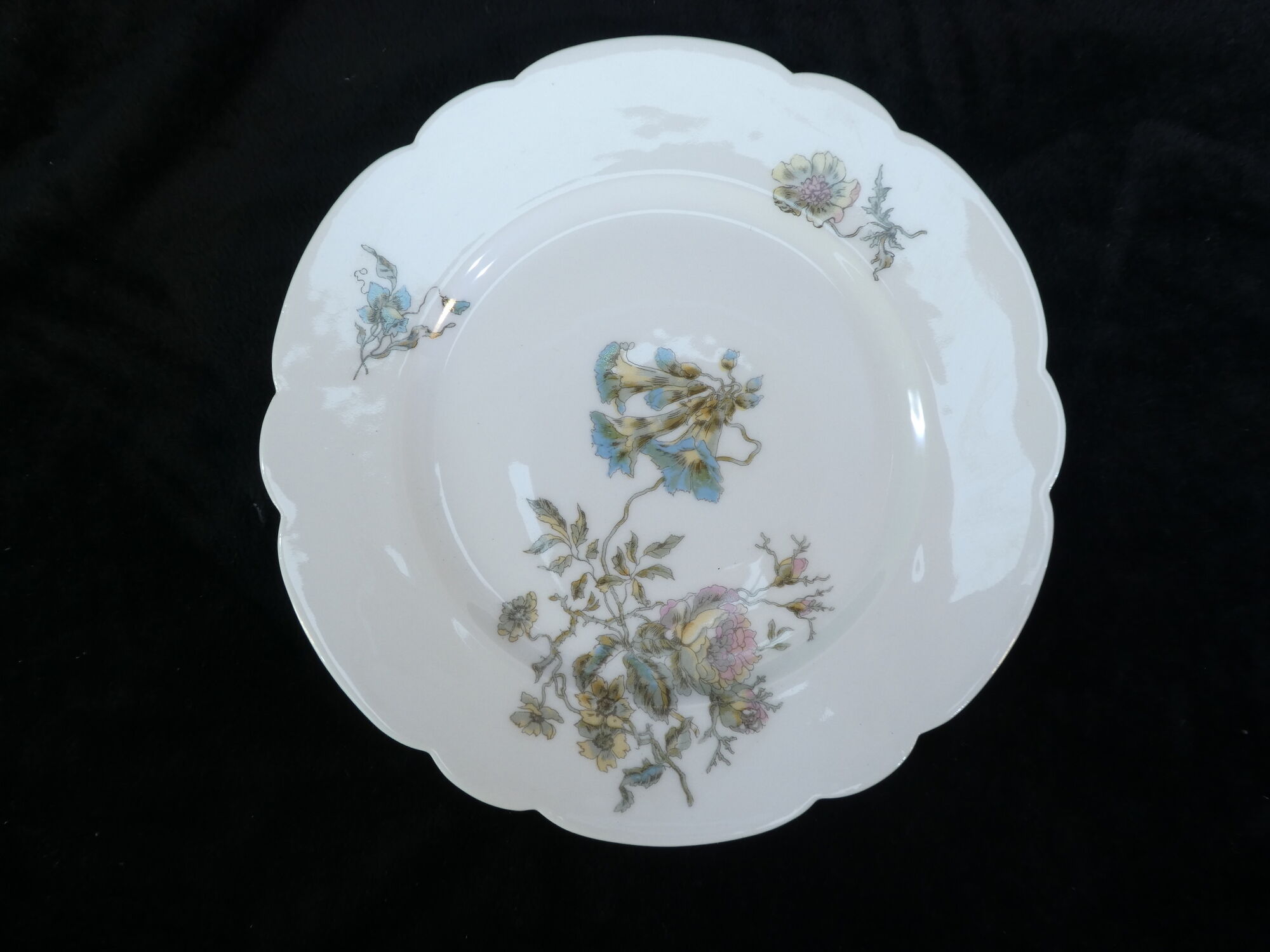 12 Limoges porcelain dinner plates for E.Bourgeois Paris